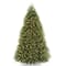 9ft. Pre-Lit PowerConnect™ Dunhill® Fir Tree Artificial Christmas Tree, Clear Lights